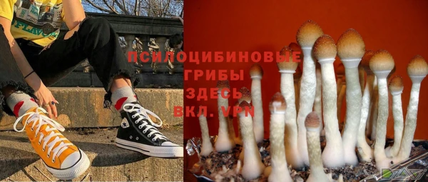 ГАЛЛЮЦИНОГЕННЫЕ ГРИБЫ Краснотурьинск