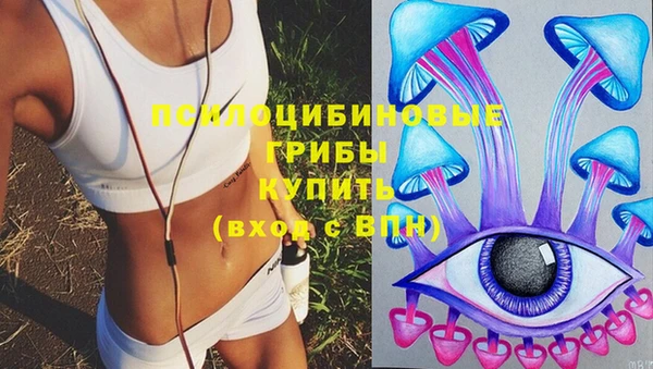 ГАЛЛЮЦИНОГЕННЫЕ ГРИБЫ Краснотурьинск
