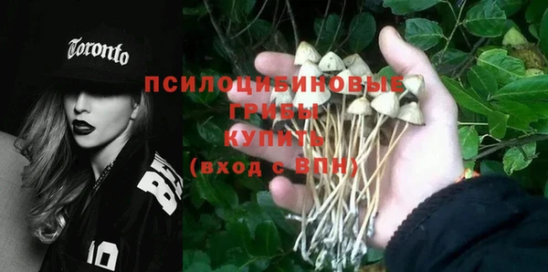 ГАЛЛЮЦИНОГЕННЫЕ ГРИБЫ Краснотурьинск