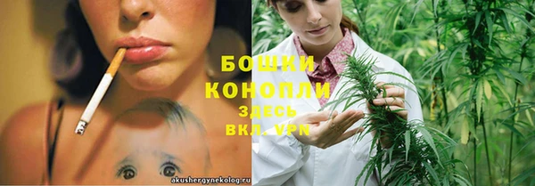 ГАЛЛЮЦИНОГЕННЫЕ ГРИБЫ Краснотурьинск