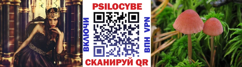 купить  цена  Мурино  omg онион  Псилоцибиновые грибы Psilocybe 