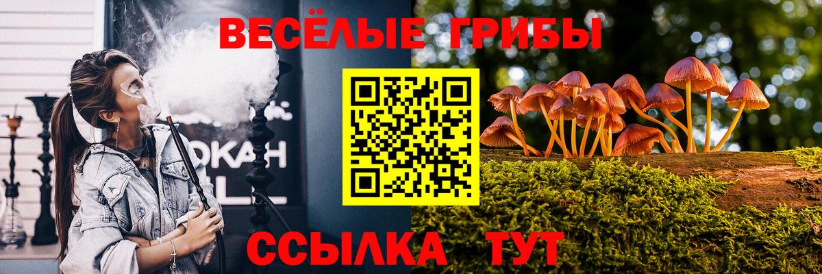 Галлюциногенные грибы Psilocybe  Галлюциногенные грибы прущие грибы  Мурино  Вход с VPN 