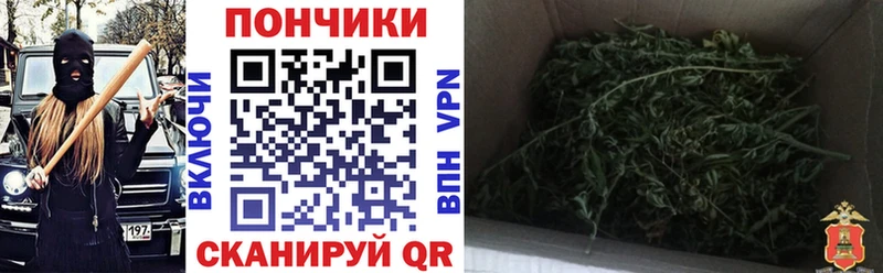 Шишки марихуана марихуана даркнет сайт блэк спрут как зайти Мурино