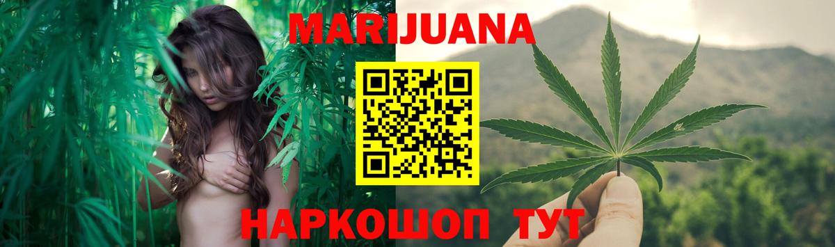 Канабис OG Kush Мурино